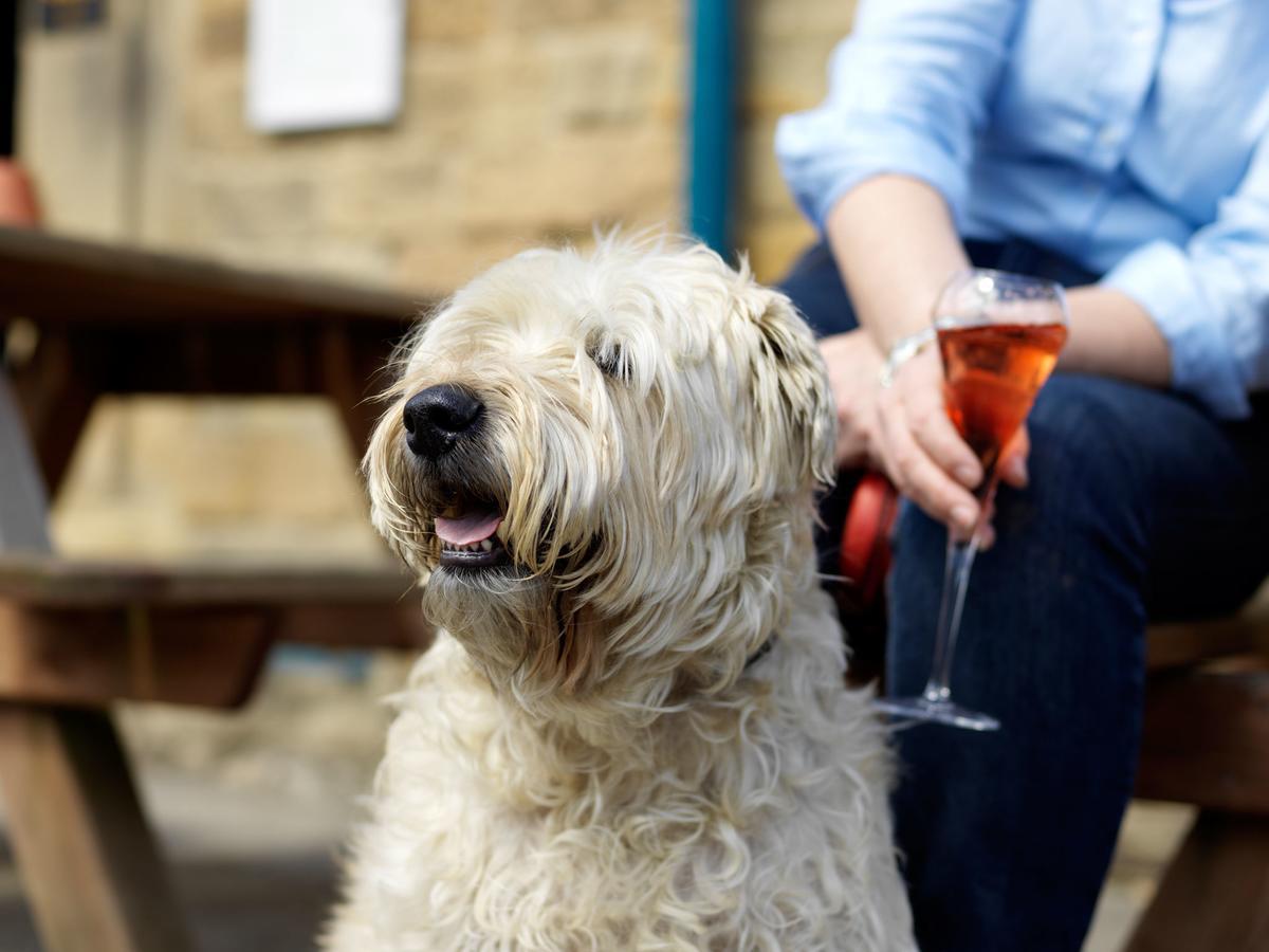 The Pilsley Inn - Chatsworth Baslow Eksteriør billede